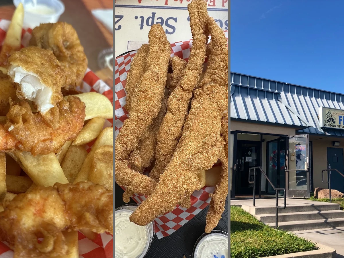 Crispy seafood plates beside tartar sauce.